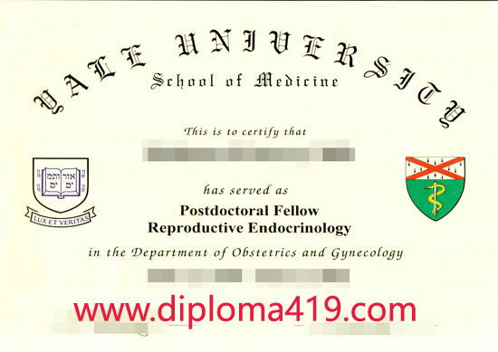 Yale University fake degree/Yale University fake diploma/buy MBA degree