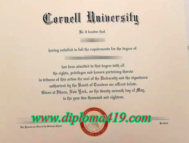 Cornell University degree.jpg